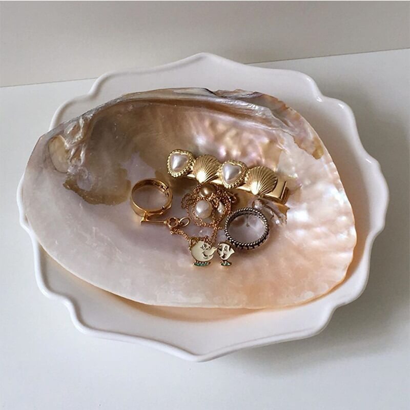 natural seashell coquette and vanilla girl aesthetic jewelry tray desk organizer