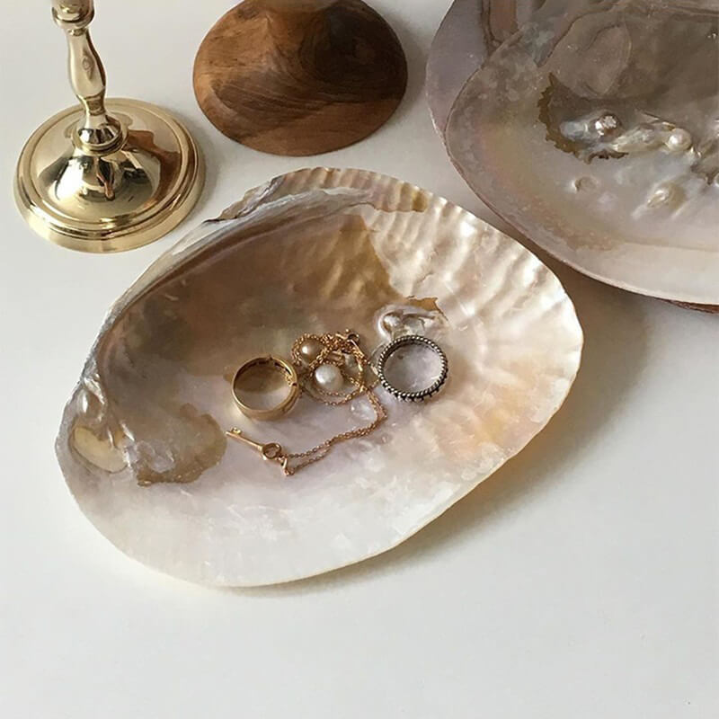 natural seashell coquette and vanilla girl aesthetic jewelry tray desk organizer